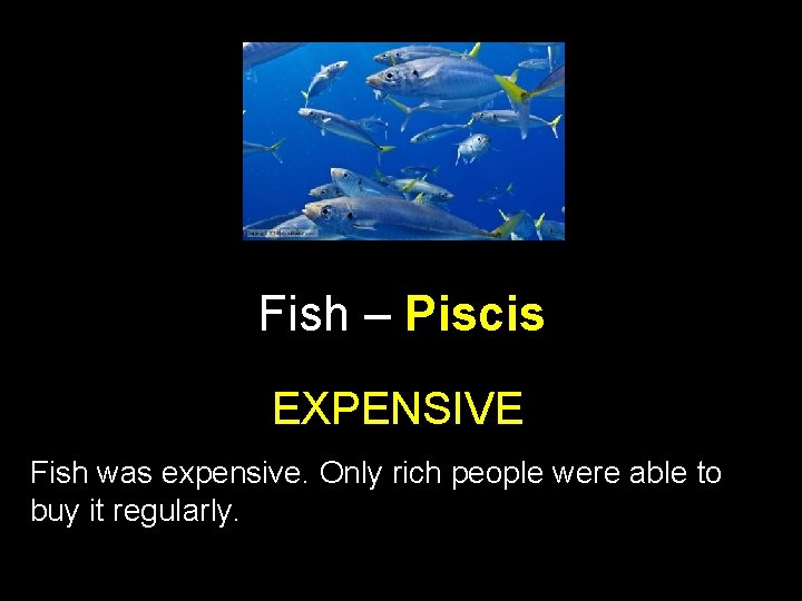 Fish – Piscis EXPENSIVE Fish was expensive. Only rich people were able to buy