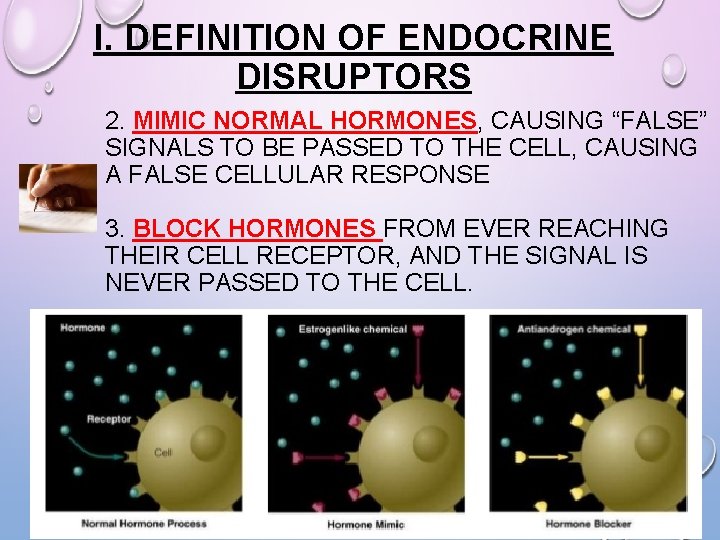 I. DEFINITION OF ENDOCRINE DISRUPTORS 2. MIMIC NORMAL HORMONES, CAUSING “FALSE” SIGNALS TO BE I. DEFINITION OF ENDOCRINE DISRUPTORS 2. MIMIC NORMAL HORMONES, CAUSING “FALSE” SIGNALS TO BE
