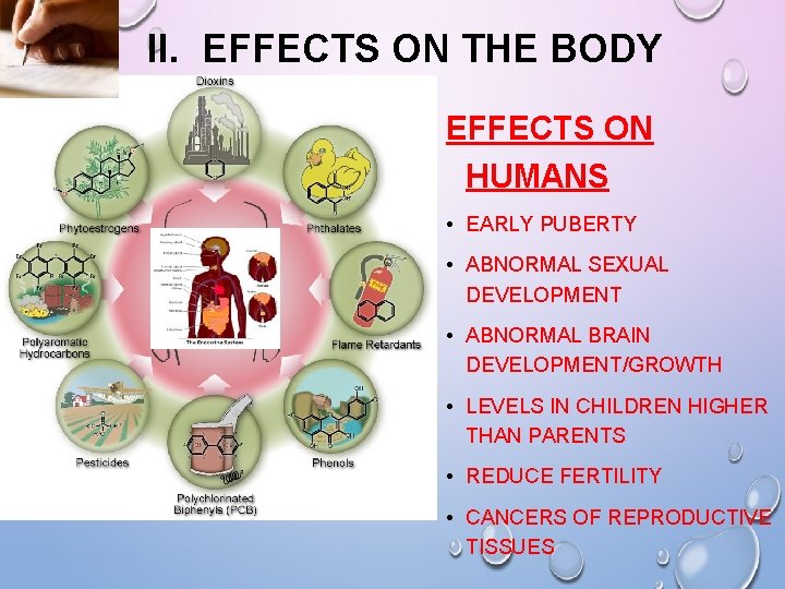 II. EFFECTS ON THE BODY EFFECTS ON HUMANS • EARLY PUBERTY • ABNORMAL SEXUAL II. EFFECTS ON THE BODY EFFECTS ON HUMANS • EARLY PUBERTY • ABNORMAL SEXUAL
