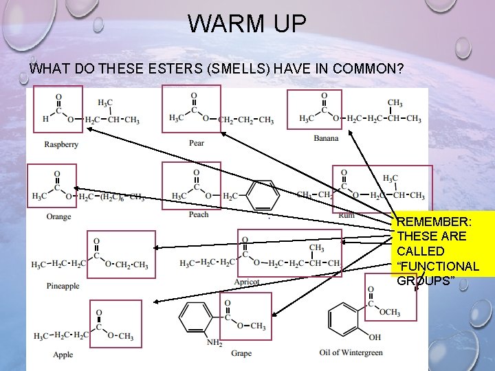 WARM UP WHAT DO THESE ESTERS (SMELLS) HAVE IN COMMON? REMEMBER: THESE ARE CALLED WARM UP WHAT DO THESE ESTERS (SMELLS) HAVE IN COMMON? REMEMBER: THESE ARE CALLED