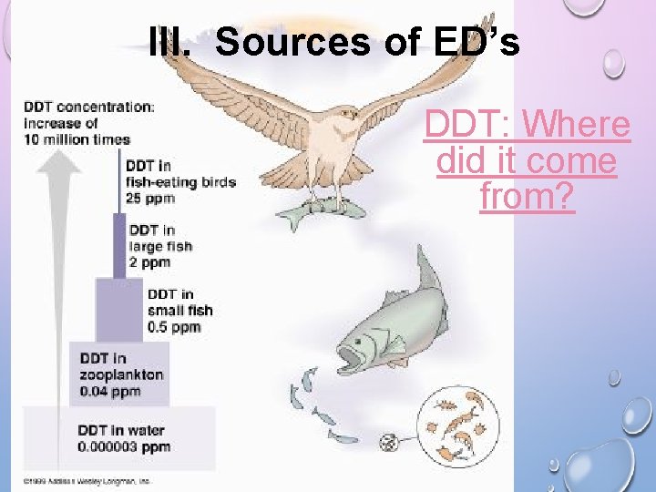 III. Sources of ED’s SO WHAT? DDT: Where did it come from? III. Sources of ED’s SO WHAT? DDT: Where did it come from?