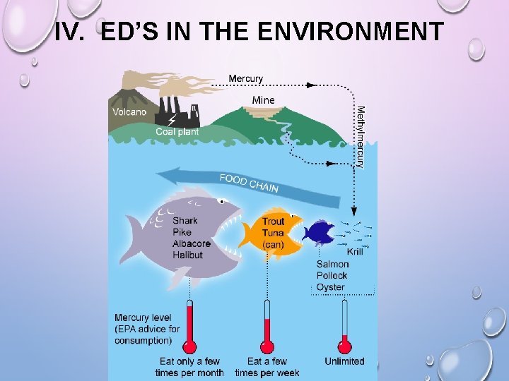 IV. ED’S IN THE ENVIRONMENT IV. ED’S IN THE ENVIRONMENT