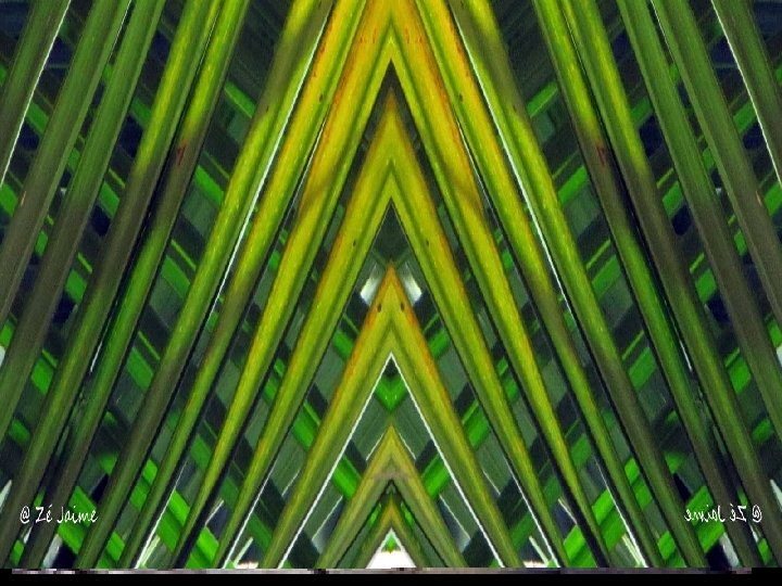 DOMINGO DE RAMOS E DA PAIXÃO 1 de abril de 2012 Aprofundando os textos