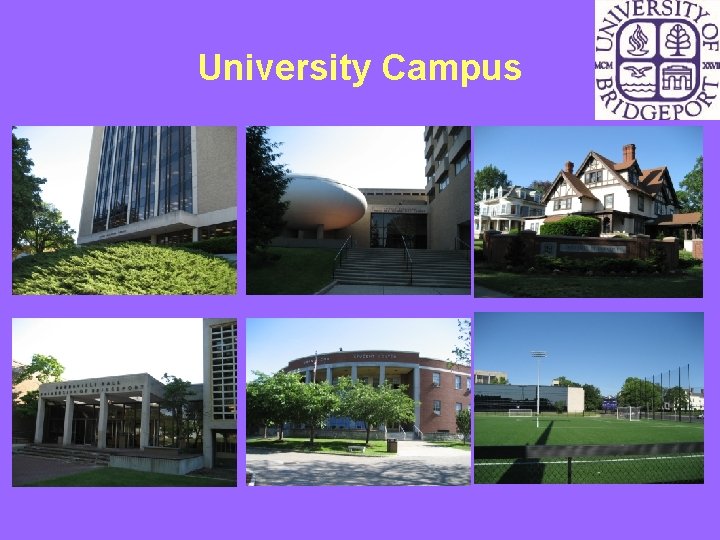 University Campus 