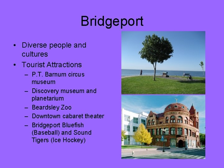 Bridgeport • Diverse people and cultures • Tourist Attractions – P. T. Barnum circus