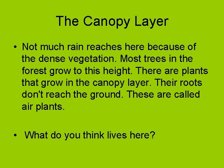 The Canopy Layer • Not much rain reaches here because of the dense vegetation.