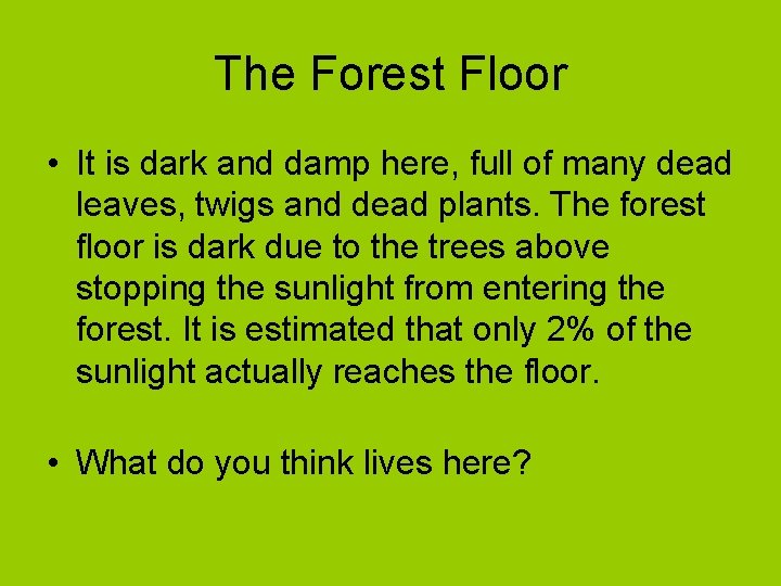 The Forest Floor • It is dark and damp here, full of many dead