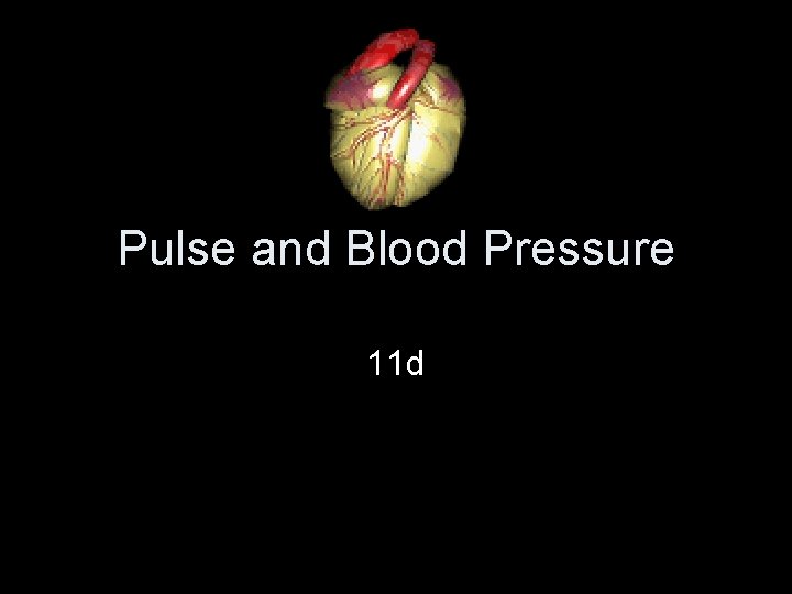 Pulse and Blood Pressure 11 d 