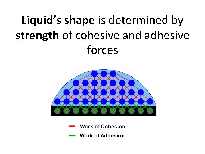 Liquid’s shape is determined by strength of cohesive and adhesive forces 