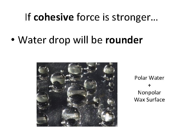 If cohesive force is stronger… • Water drop will be rounder Polar Water +