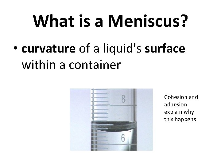What is a Meniscus? • curvature of a liquid's surface within a container Cohesion