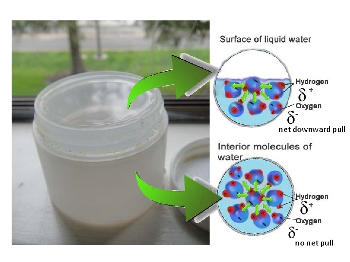 net downward pull no net pull 