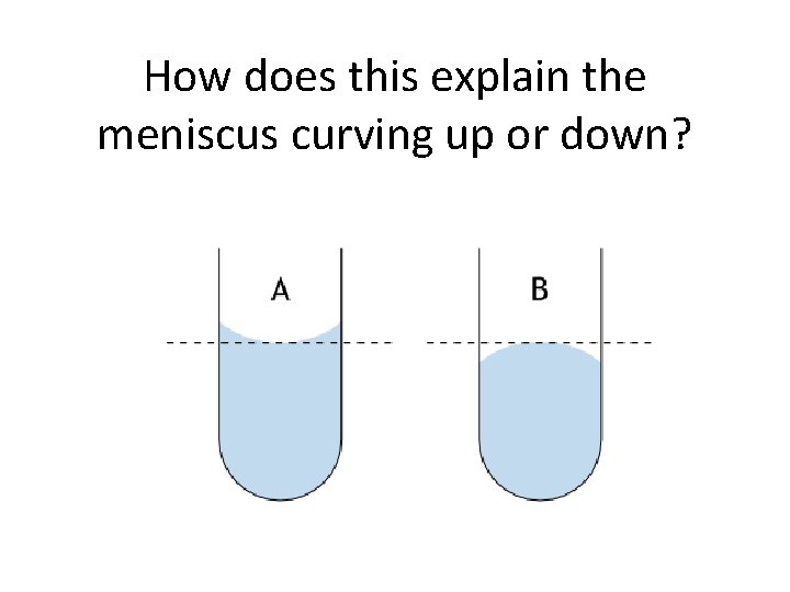 How does this explain the meniscus curving up or down? 