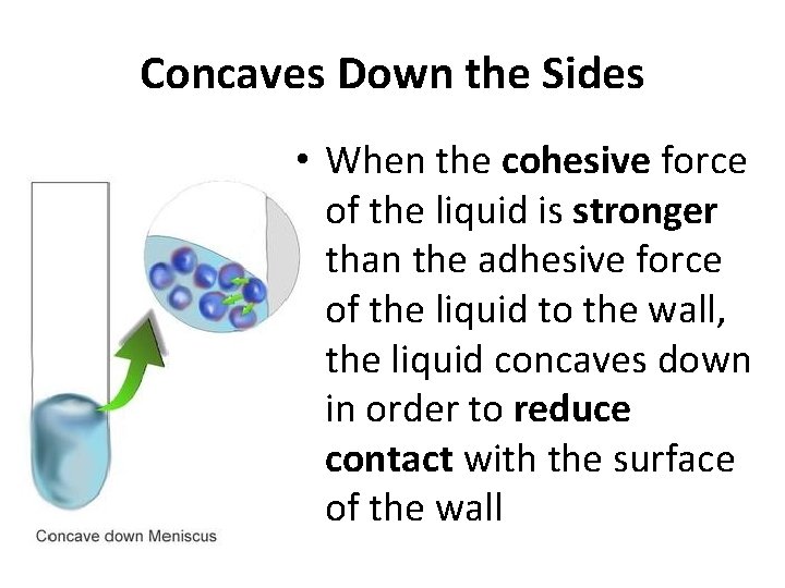 Concaves Down the Sides • When the cohesive force of the liquid is stronger