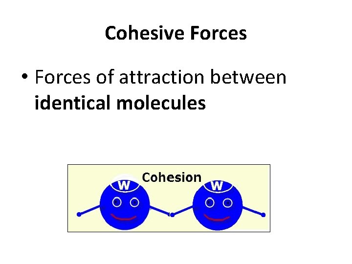 Cohesive Forces • Forces of attraction between identical molecules 