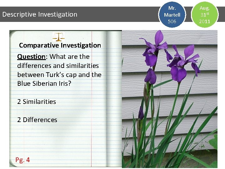 Descriptive Investigation Comparative Investigation Question: What are the differences and similarities between Turk’s cap