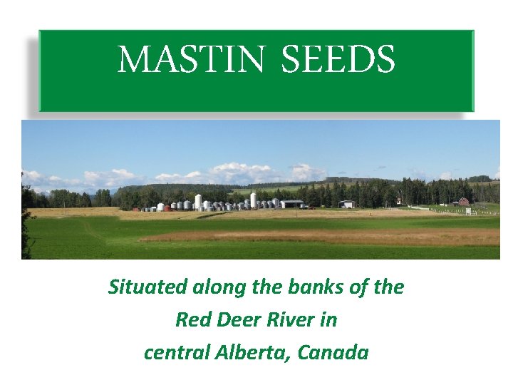 MASTIN SEEDS Situated along the banks of the Red Deer River in central Alberta,