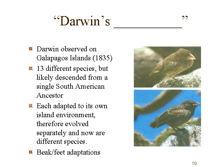 Name Darwin 1809 1885 EVOLUTION and Natural Selection