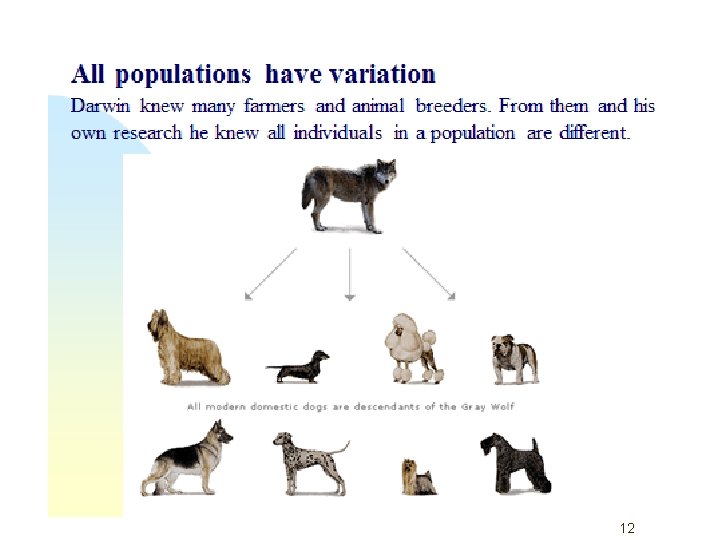 Name Darwin 1809 1885 EVOLUTION and Natural Selection