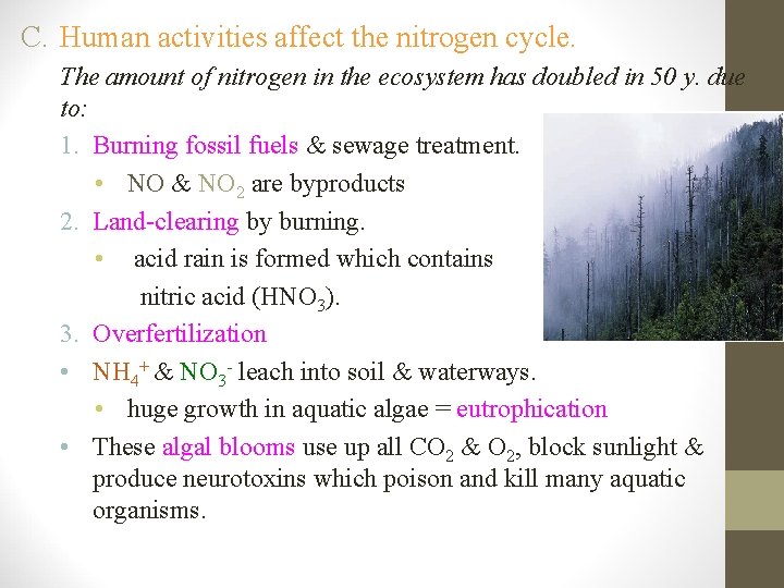 C. Human activities affect the nitrogen cycle. The amount of nitrogen in the ecosystem