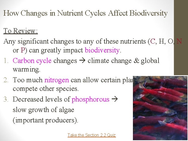 How Changes in Nutrient Cycles Affect Biodiversity To Review: Any significant changes to any