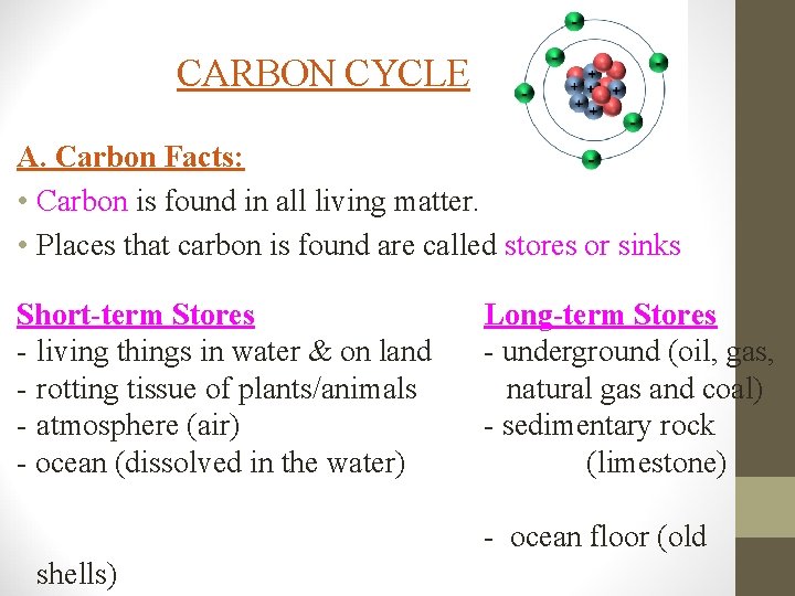 CARBON CYCLE A. Carbon Facts: • Carbon is found in all living matter. •