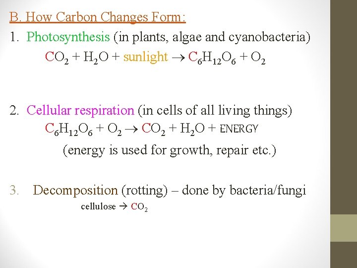 B. How Carbon Changes Form: 1. Photosynthesis (in plants, algae and cyanobacteria) CO 2