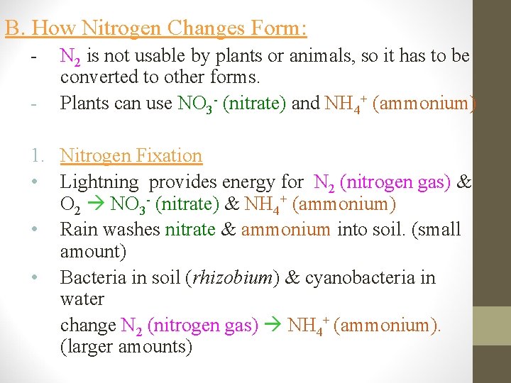 B. How Nitrogen Changes Form: - - N 2 is not usable by plants
