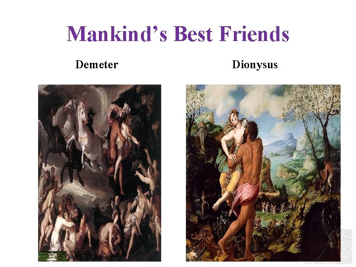 Mankind’s Best Friends Demeter Wikipedia Rufus 46 Dionysus 