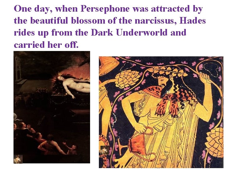 One day, when Persephone was attracted by the beautiful blossom of the narcissus, Hades