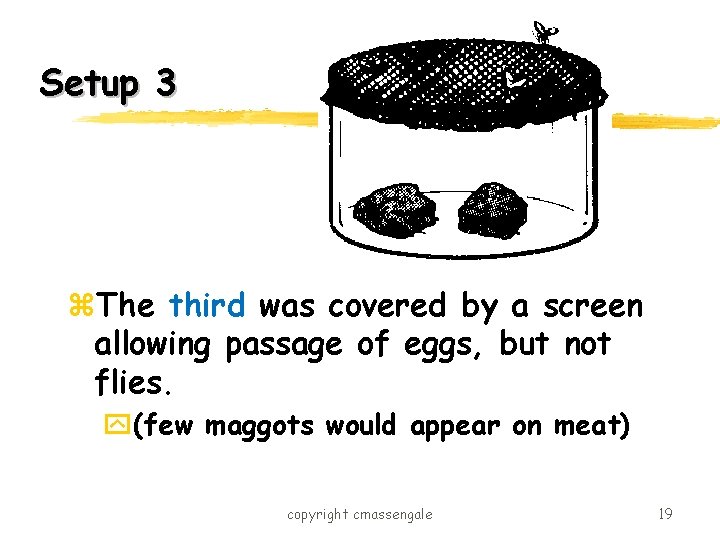 Setup 3 z. The third was covered by a screen allowing passage of eggs,