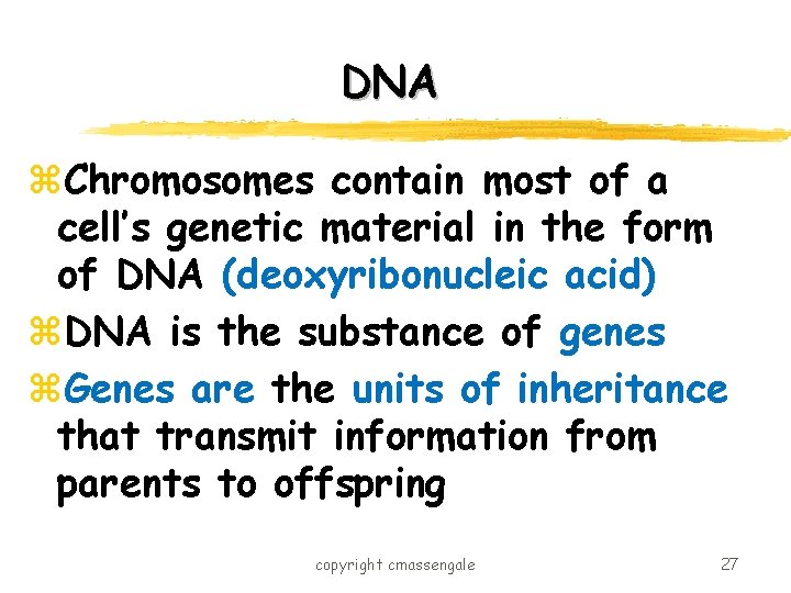 DNA z. Chromosomes contain most of a cell’s genetic material in the form of