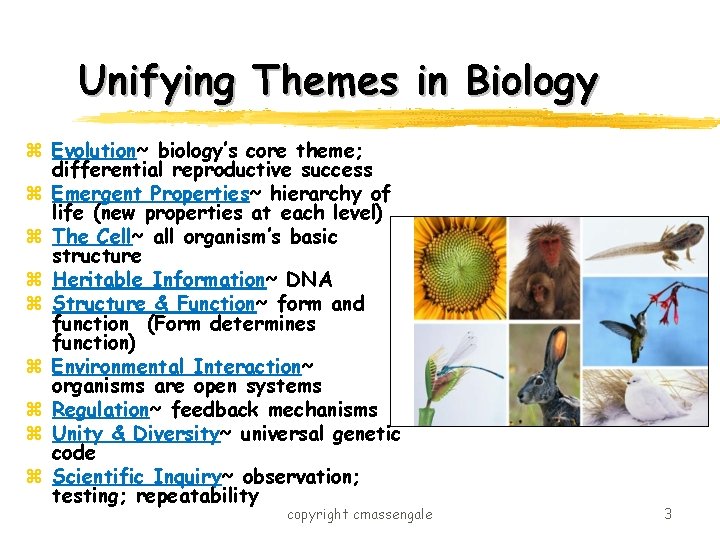 Unifying Themes in Biology z Evolution~ biology’s core theme; differential reproductive success z Emergent