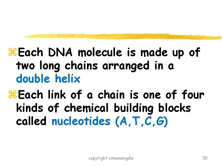 z. Each DNA molecule is made up of two long chains arranged in a
