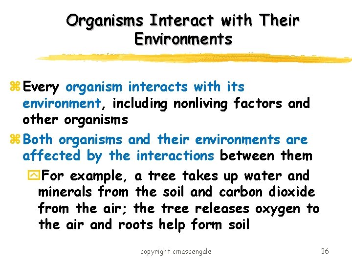 Organisms Interact with Their Environments z Every organism interacts with its environment, including nonliving