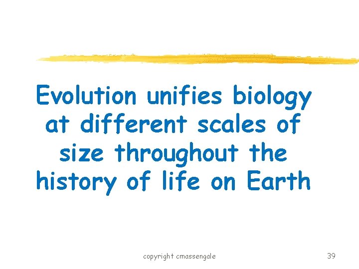 Evolution unifies biology at different scales of size throughout the history of life on