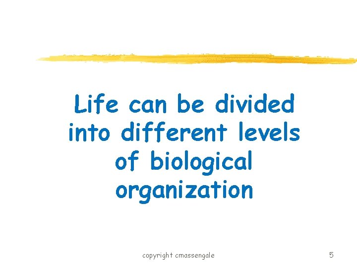 Life can be divided into different levels of biological organization copyright cmassengale 5 