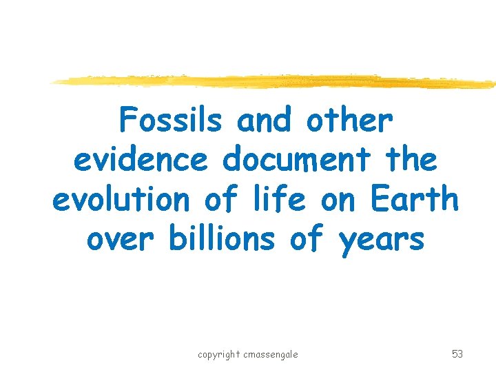 Fossils and other evidence document the evolution of life on Earth over billions of