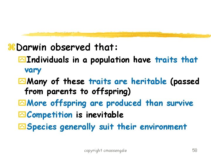z. Darwin observed that: y. Individuals in a population have traits that vary y.