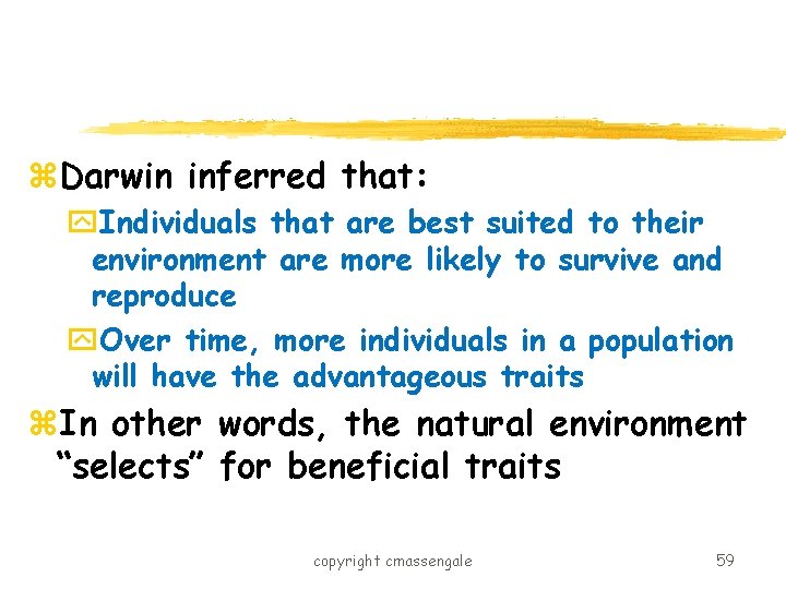 z. Darwin inferred that: y. Individuals that are best suited to their environment are