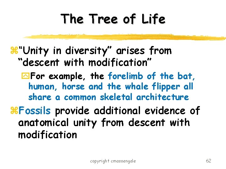 The Tree of Life z“Unity in diversity” arises from “descent with modification” y. For