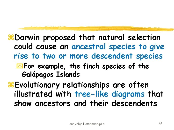 z. Darwin proposed that natural selection could cause an ancestral species to give rise