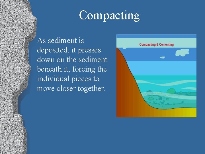 Compacting l As sediment is deposited, it presses down on the sediment beneath it,