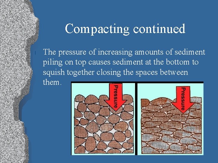 Compacting continued l The pressure of increasing amounts of sediment piling on top causes