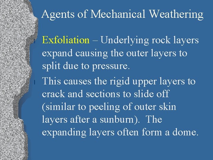 Agents of Mechanical Weathering l l Exfoliation – Underlying rock layers expand causing the