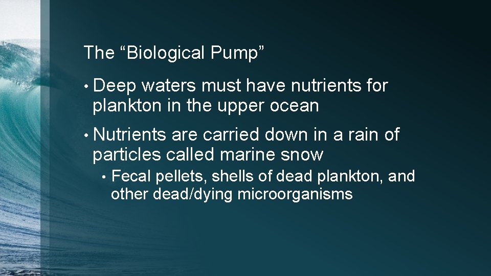 The “Biological Pump” • Deep waters must have nutrients for plankton in the upper