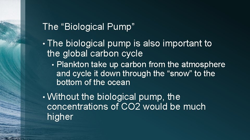 The “Biological Pump” • The biological pump is also important to the global carbon