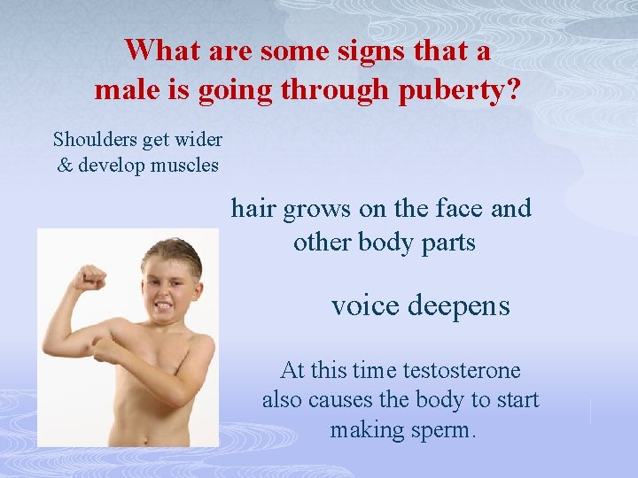 What are some signs that a male is going through puberty? Shoulders get wider
