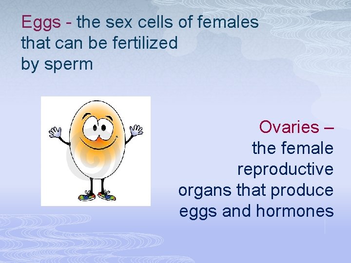 Eggs - the sex cells of females that can be fertilized by sperm Ovaries