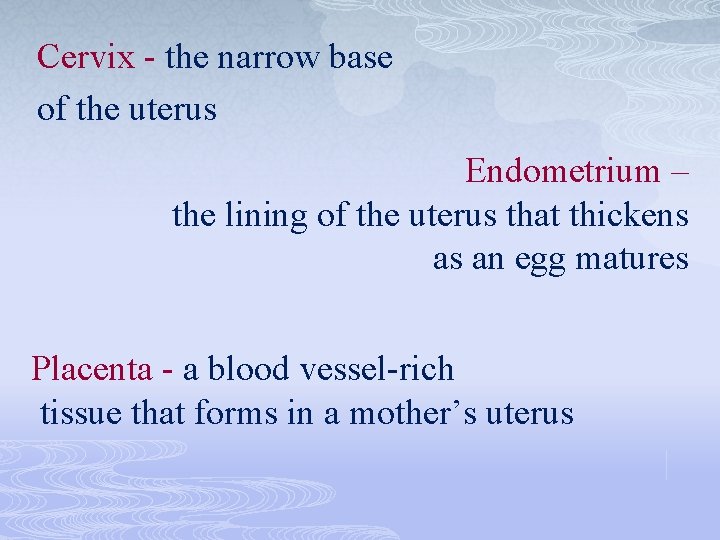 Cervix - the narrow base of the uterus Endometrium – the lining of the